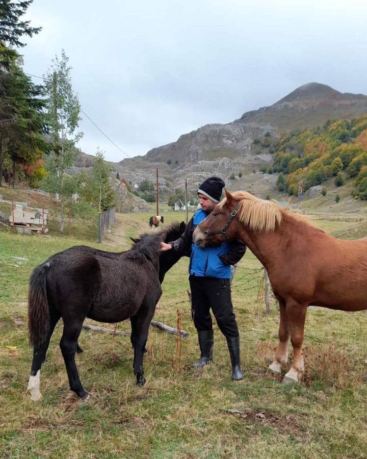 Katun Mokra Accommodation & Horseback Riding Podgorica Exterior photo