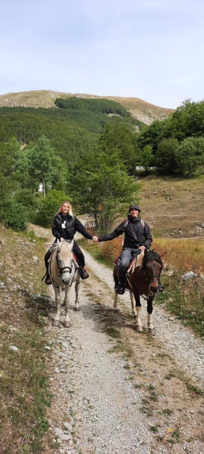 Katun Mokra Accommodation & Horseback Riding Podgorica Exterior photo