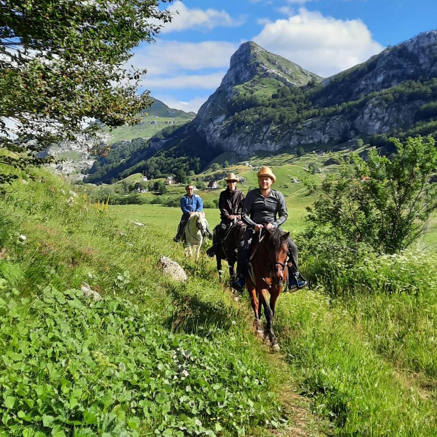 Katun Mokra Accommodation & Horseback Riding Podgorica Exterior photo