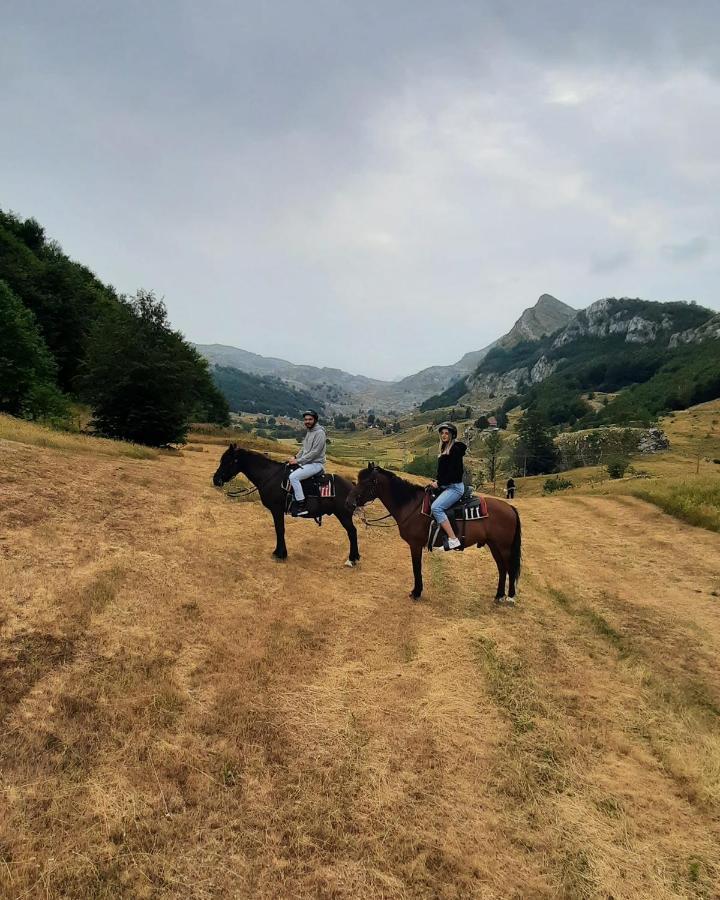 Katun Mokra Accommodation & Horseback Riding Podgorica Exterior photo