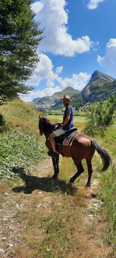 Katun Mokra Accommodation & Horseback Riding Podgorica Exterior photo