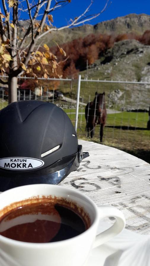 Katun Mokra Accommodation & Horseback Riding Podgorica Exterior photo