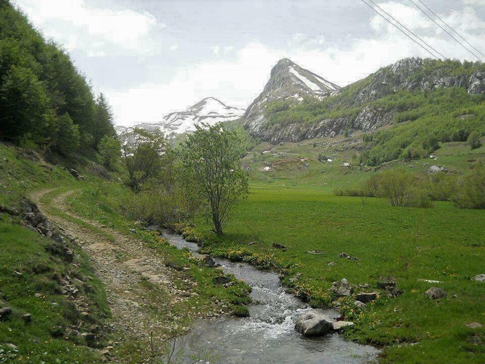 Katun Mokra Accommodation & Horseback Riding Podgorica Exterior photo